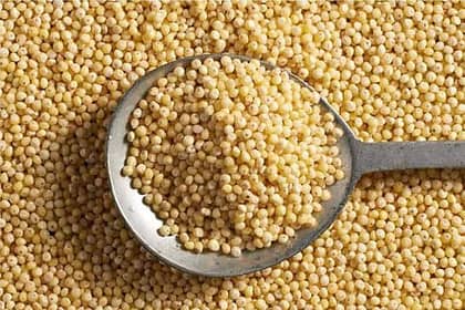 Unlocking the Health Benefits of Kodo Millet: A Diabetes-Fighting Superfood