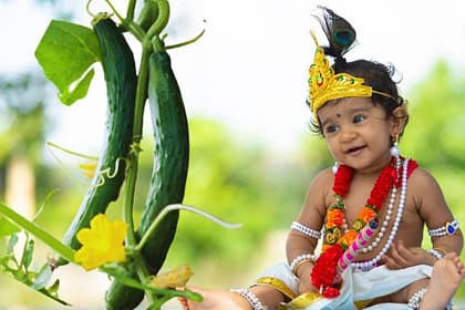 Krishna Janmashtami Date Confusion: Clearing the Air on the Auspicious Day and Cucumber Tradition